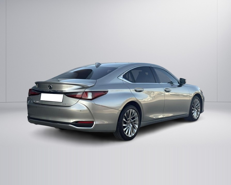 Lexus Seria ES 300h Omotenashi (4)