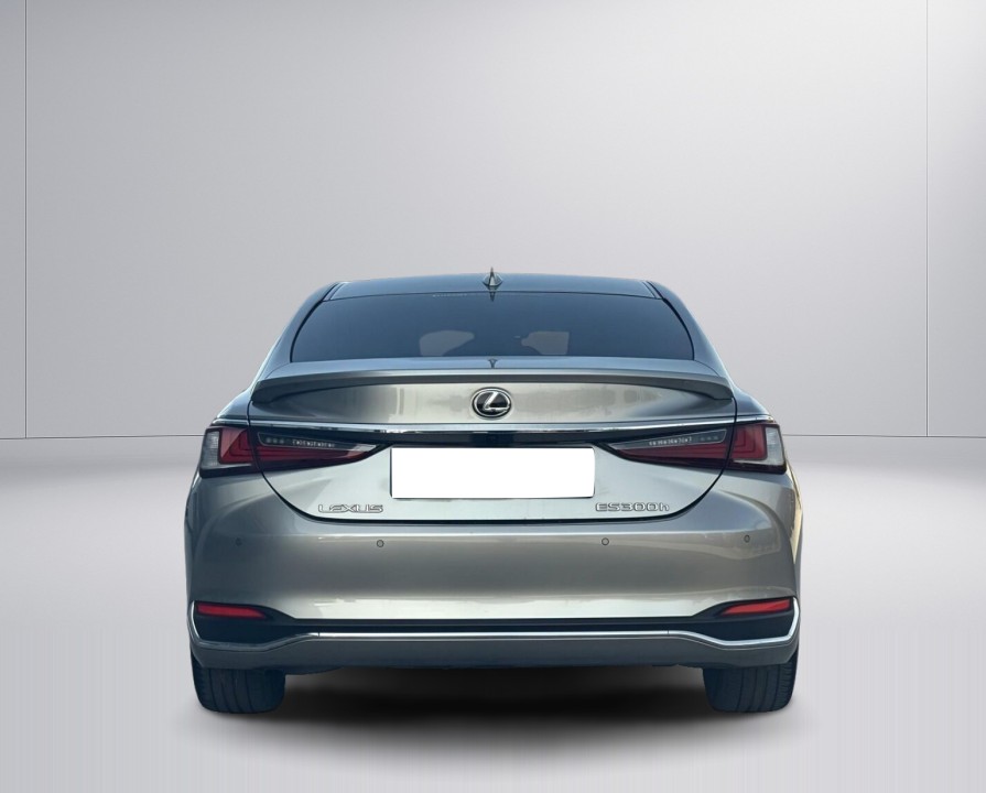 Lexus Seria ES 300h Omotenashi (5)