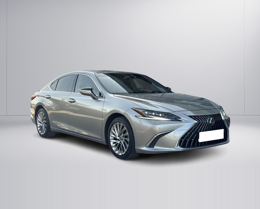 Lexus Seria ES 300h Omotenashi (2)