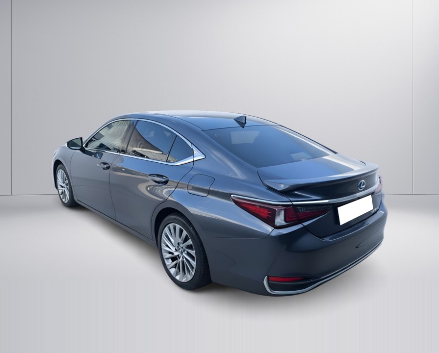 Lexus Seria ES 300h President Line (3)