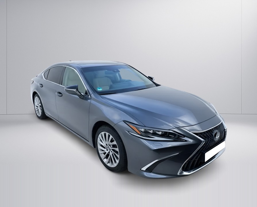 Lexus Seria ES 300h President Line