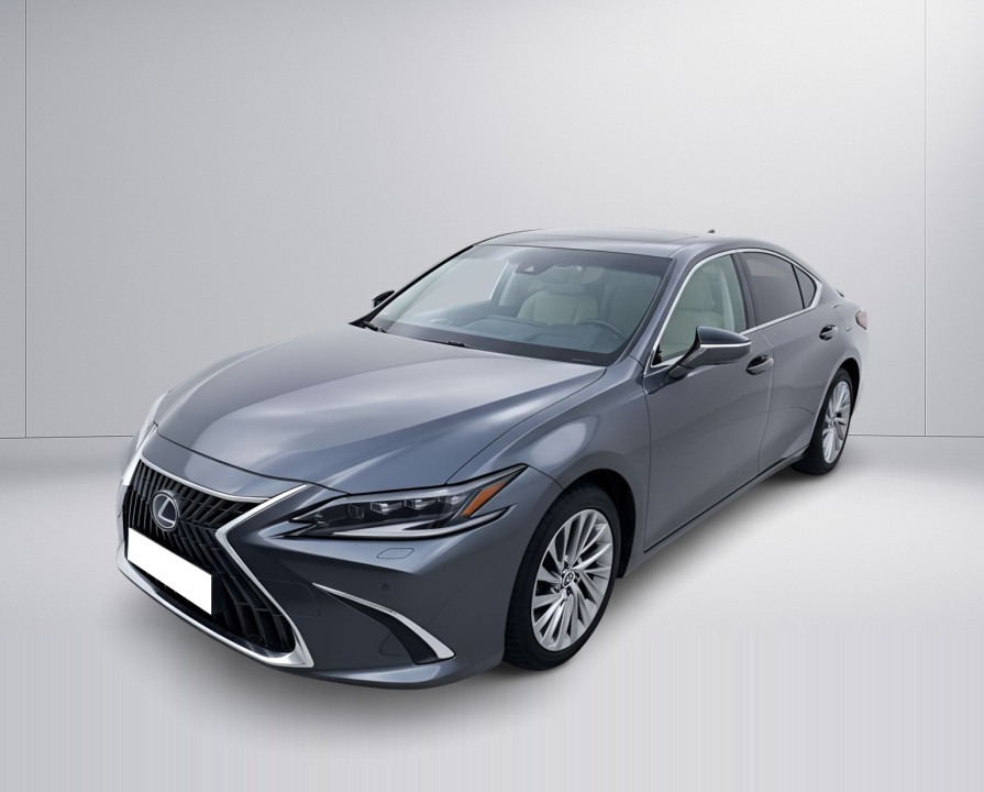 Lexus Seria ES 300h President Line (5)