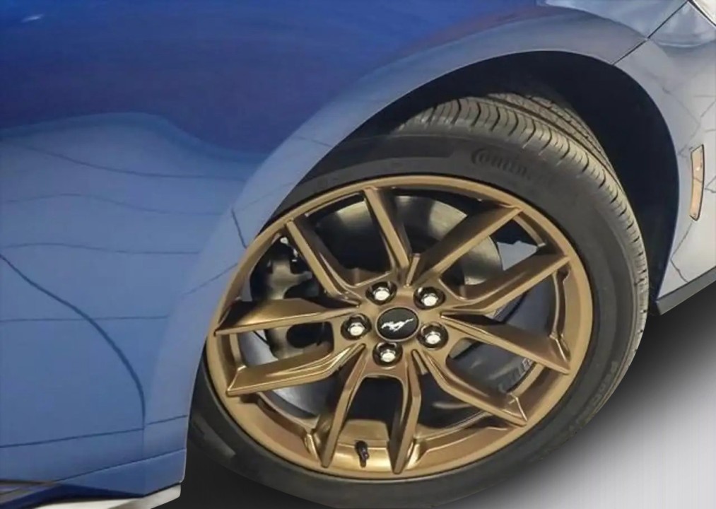 Ford Mustang - foto 15