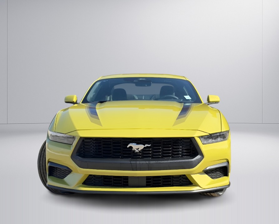 Ford Mustang (2)