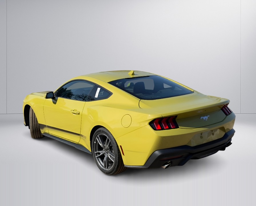 Ford Mustang (3)