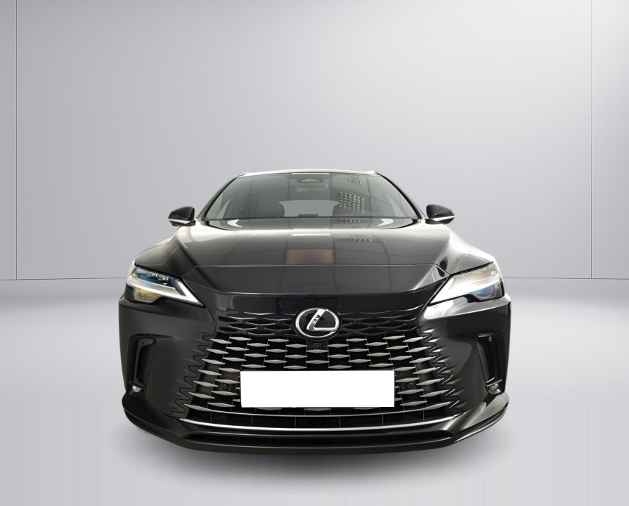 Lexus Seria RX 350h Executive (2)