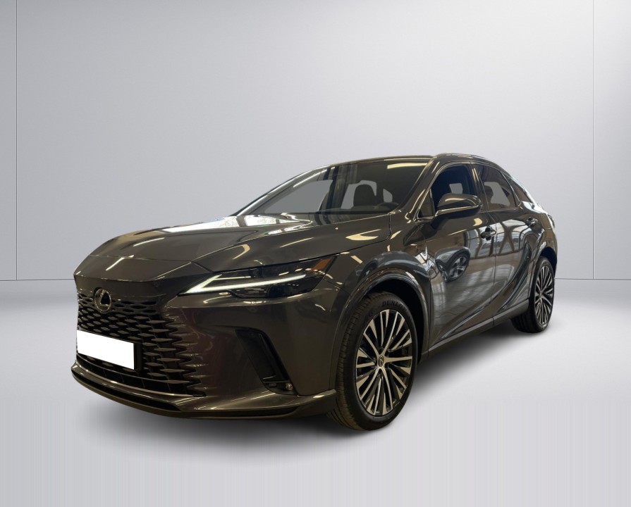 Lexus Seria RX 350h AWD Executive (3)