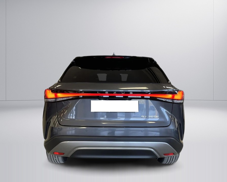 Lexus Seria RX 350h AWD Executive (5)