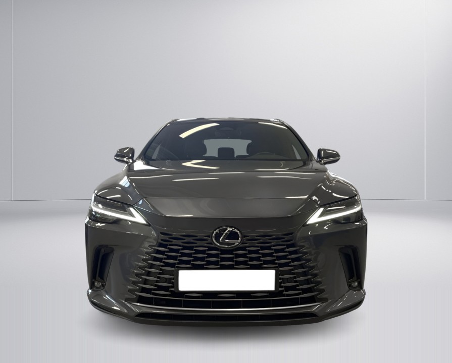 Lexus Seria RX 350h AWD Executive (2)