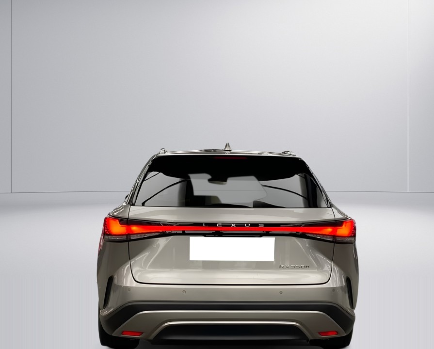 Lexus Seria RX 350h AWD Business Line (4)