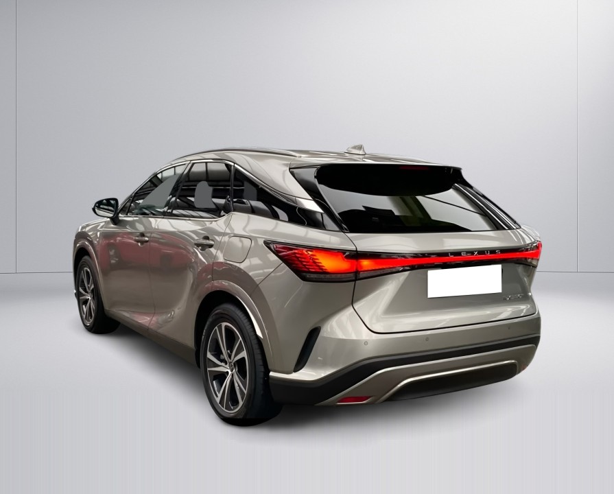 Lexus Seria RX 350h AWD Business Line (5)