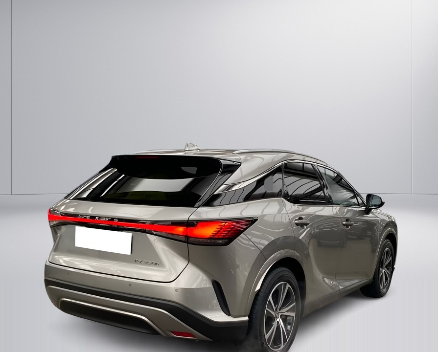 Lexus Seria RX 350h AWD Business Line (3)