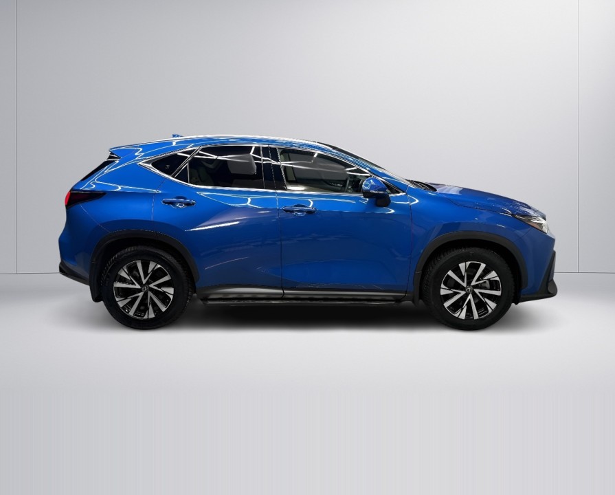 Lexus Seria NX 350h AWD Executive Line (2)
