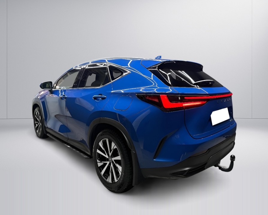Lexus Seria NX 350h AWD Executive Line (5)