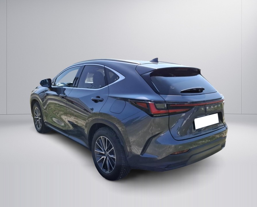 Lexus Seria NX 350h AWD Prestige (3)