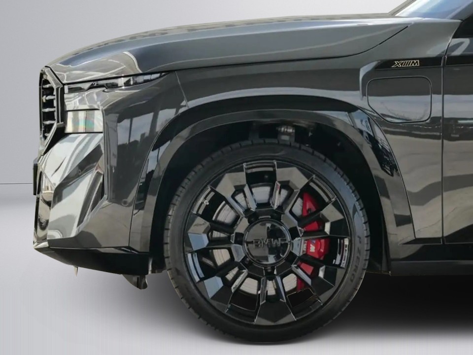 BMW XM Individual - foto 13