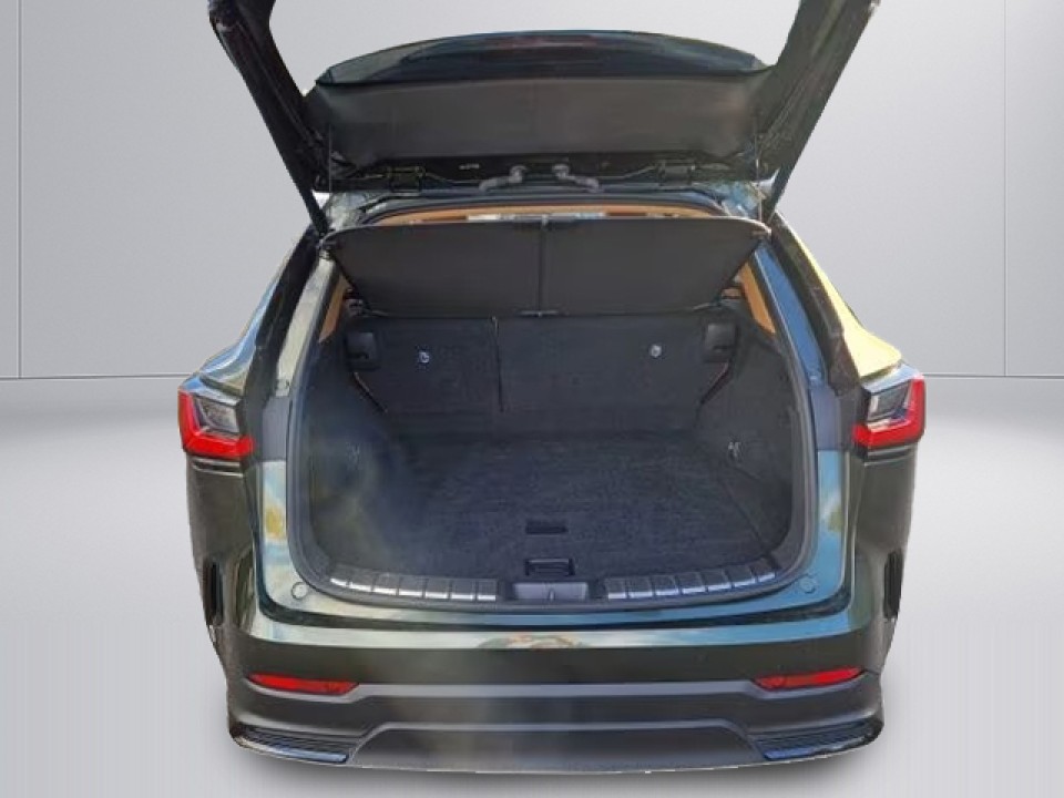 Lexus Seria NX 450h Executive - foto 15