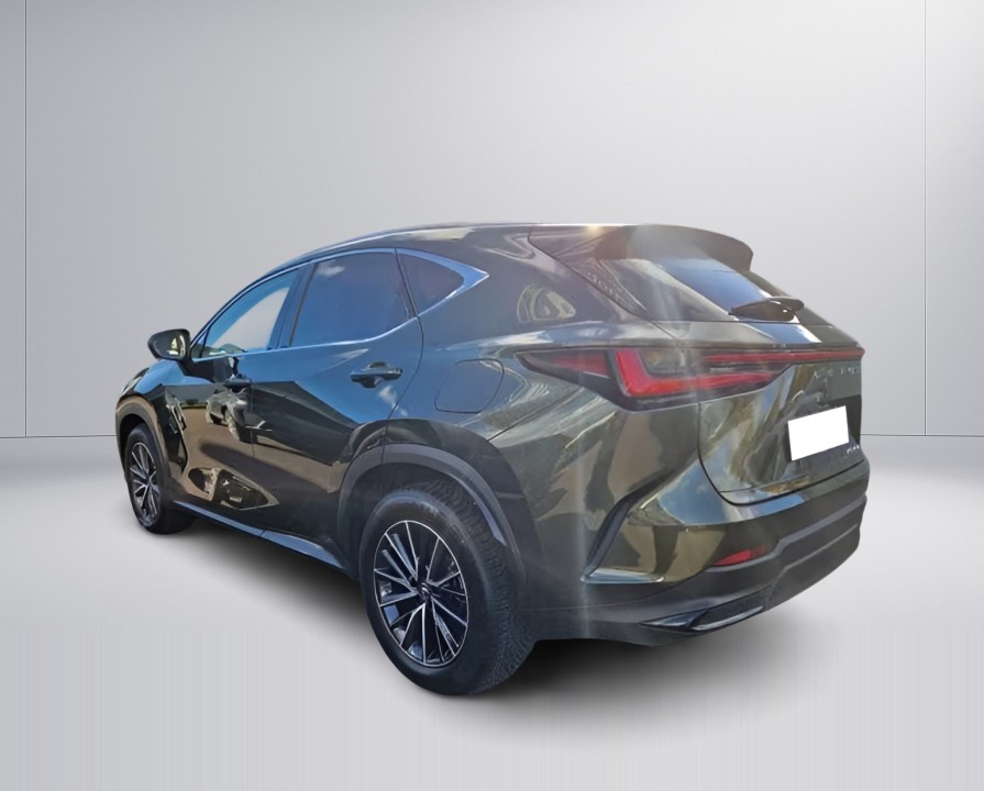 Lexus Seria NX 450h Executive (5)