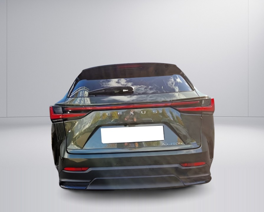 Lexus Seria NX 450h Executive (4)