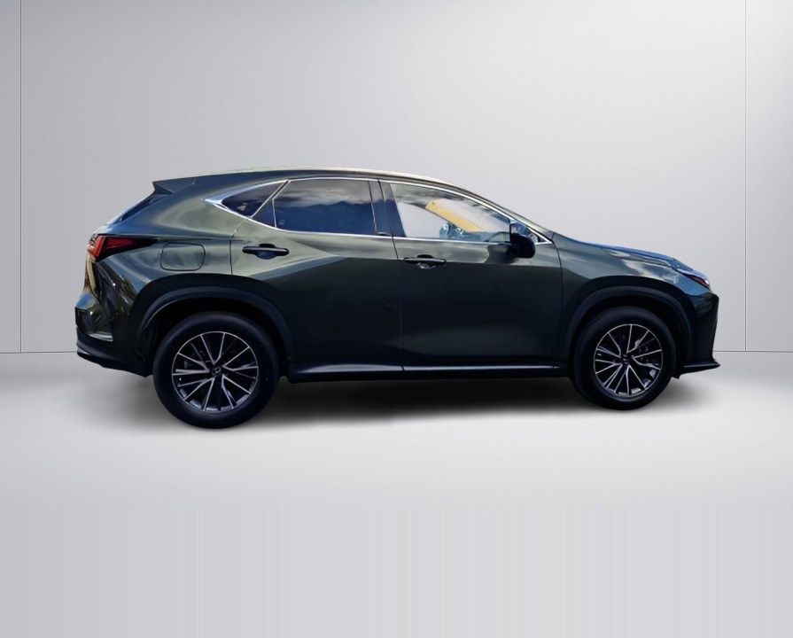 Lexus Seria NX 450h Executive (2)