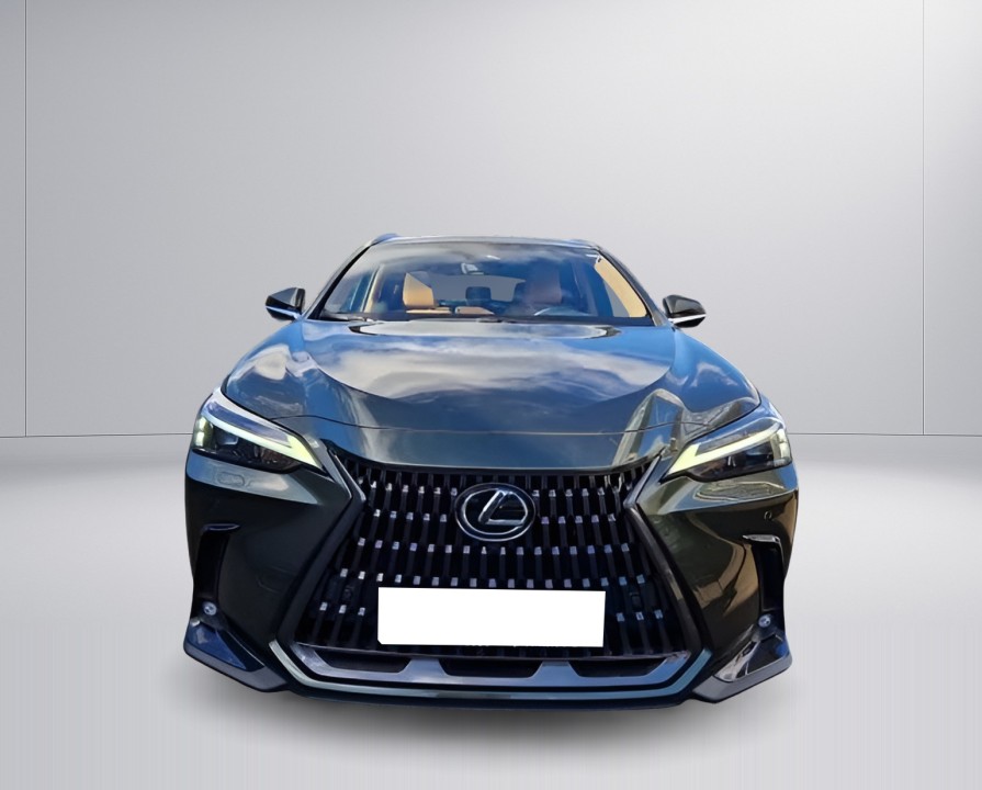 Lexus Seria NX 450h Executive - foto 8
