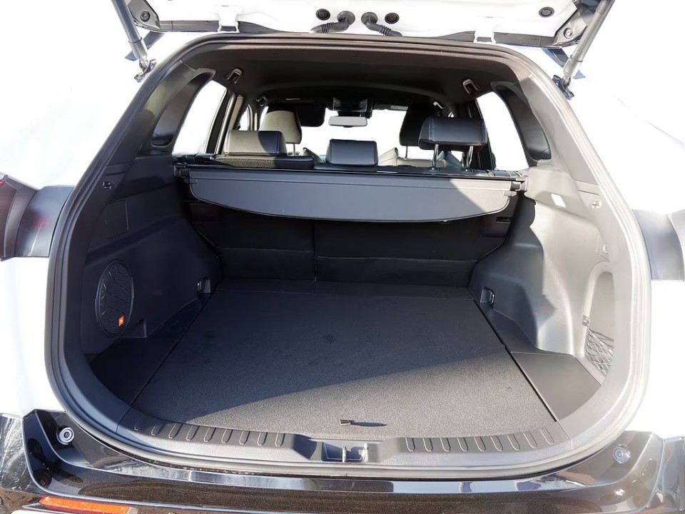 Toyota RAV4 - foto 22