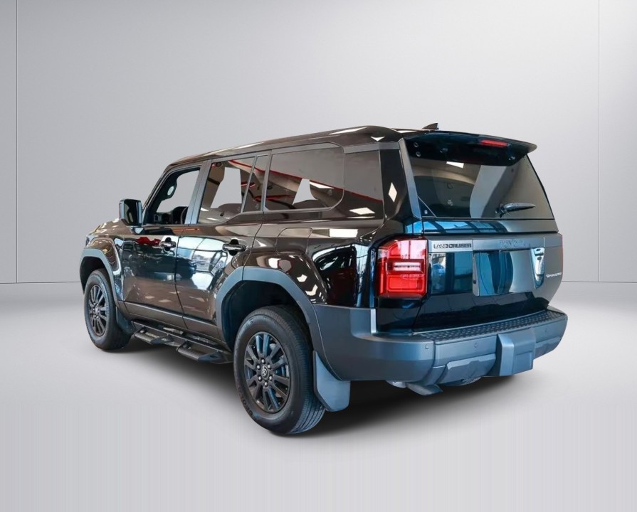 Toyota Land Cruiser (4)