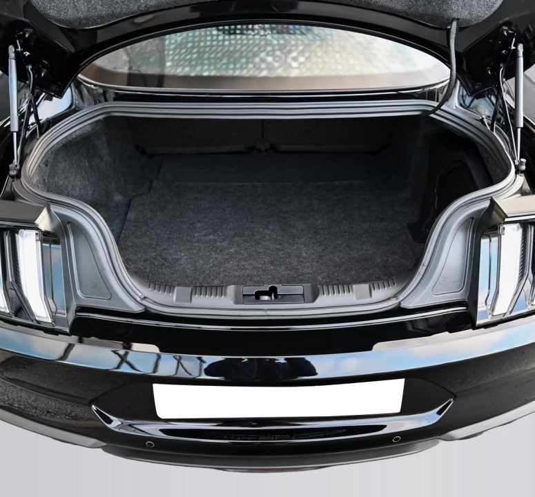 Ford Mustang - foto 28