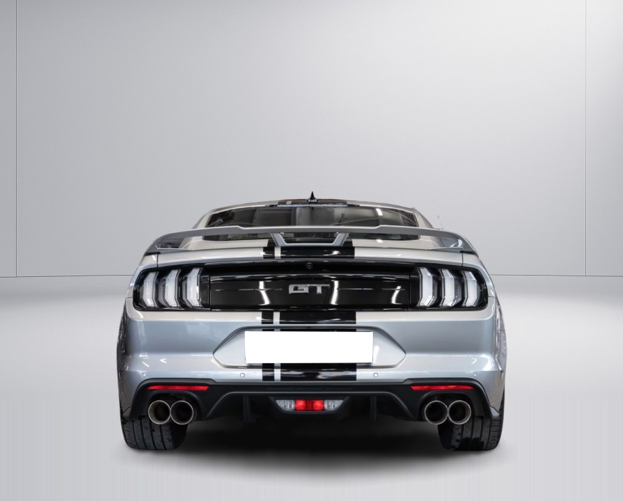 Ford Mustang GT 5.0 V8 (4)