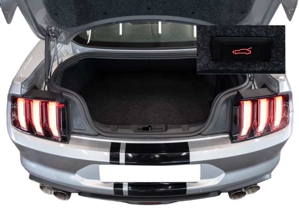 Ford Mustang GT 5.0 V8 - foto 28