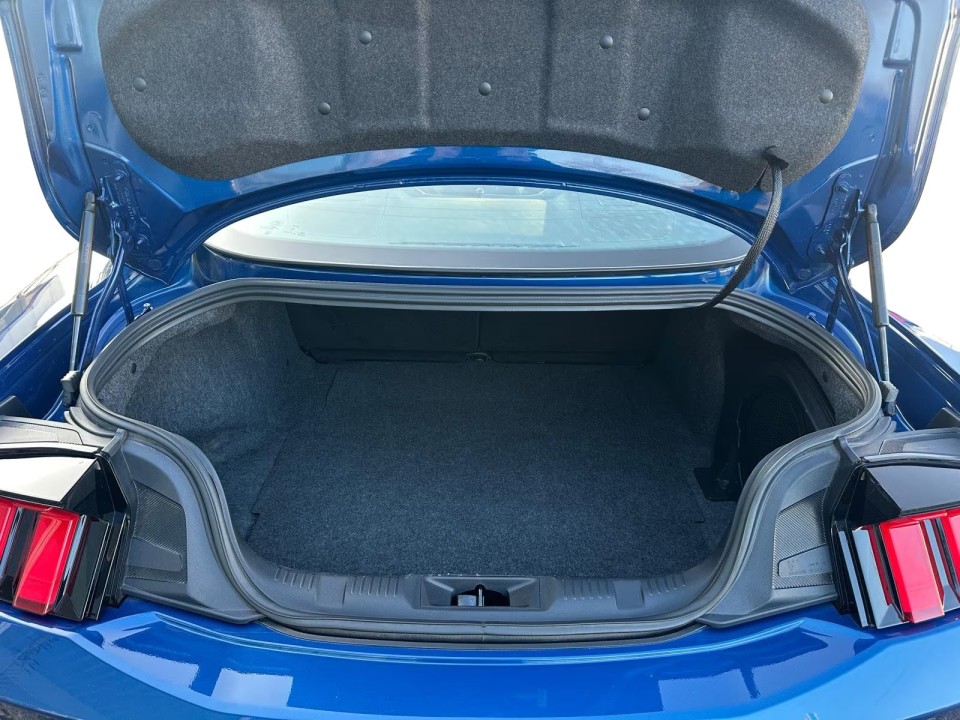 Ford Mustang - foto 15