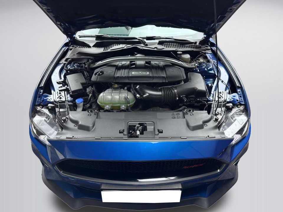 Ford Mustang - foto 24