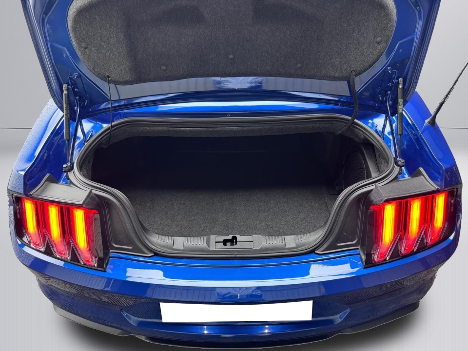 Ford Mustang - foto 23