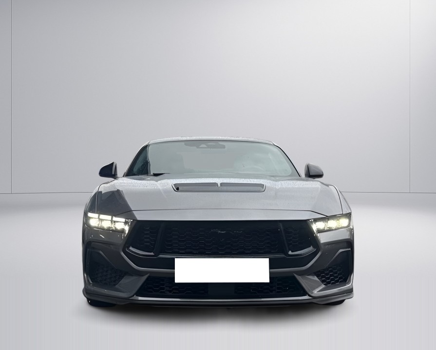 Ford Mustang Fastback (2)