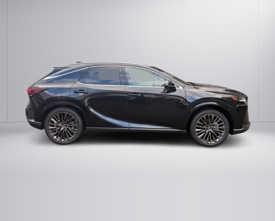 Lexus Seria RX 350h E-Four Luxury Line (2)