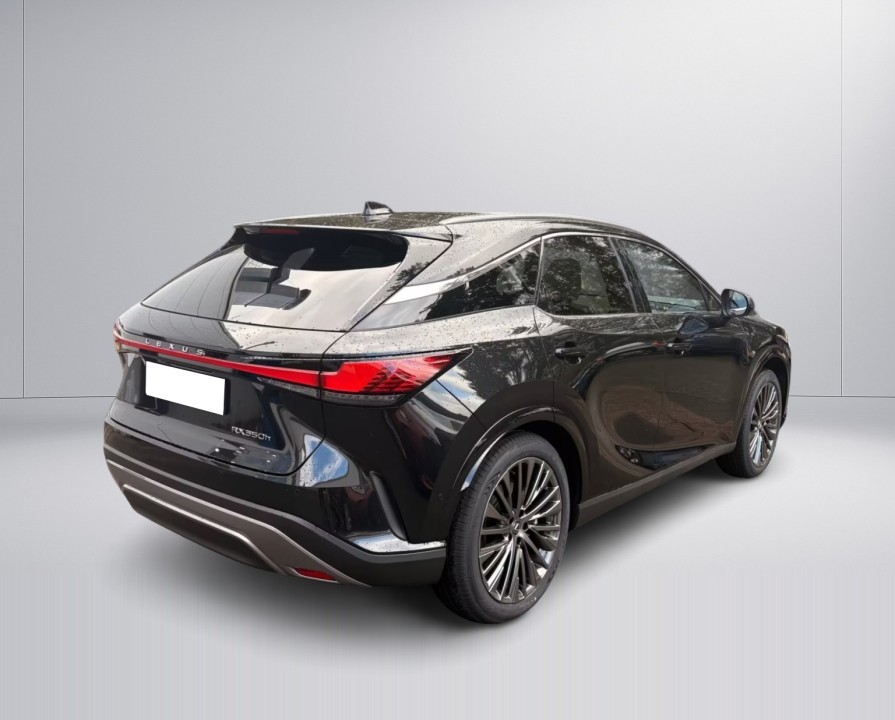 Lexus Seria RX 350h E-Four Luxury Line (3)