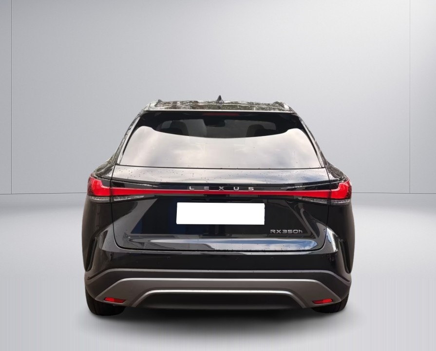 Lexus Seria RX 350h E-Four Luxury Line (4)