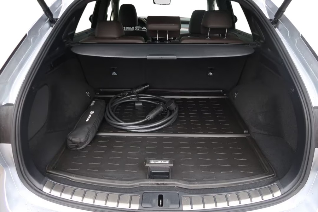 Lexus Seria RX 450h+ Luxury Line - foto 14