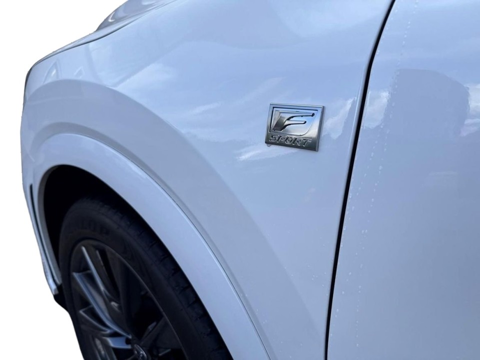 Lexus Seria RX 450h+ AWD F-Sport - foto 19