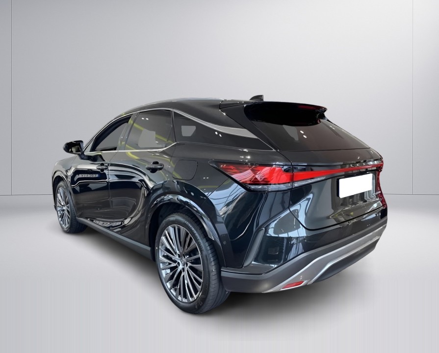 Lexus Seria RX 450h+ Luxury Line (5)