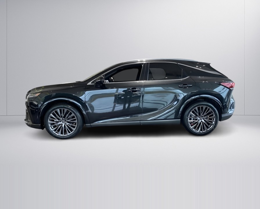 Lexus Seria RX 450h+ Luxury Line (4)