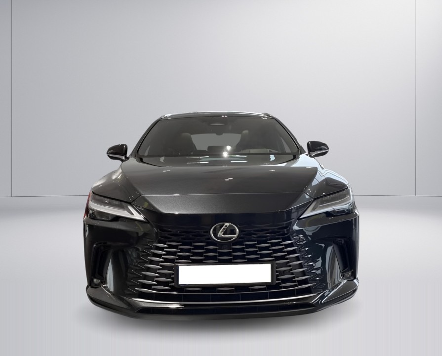 Lexus Seria RX 450h+ Luxury Line (2)