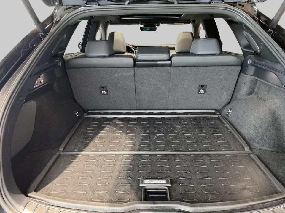 Lexus Seria RX 450h+ Luxury Line - foto 26