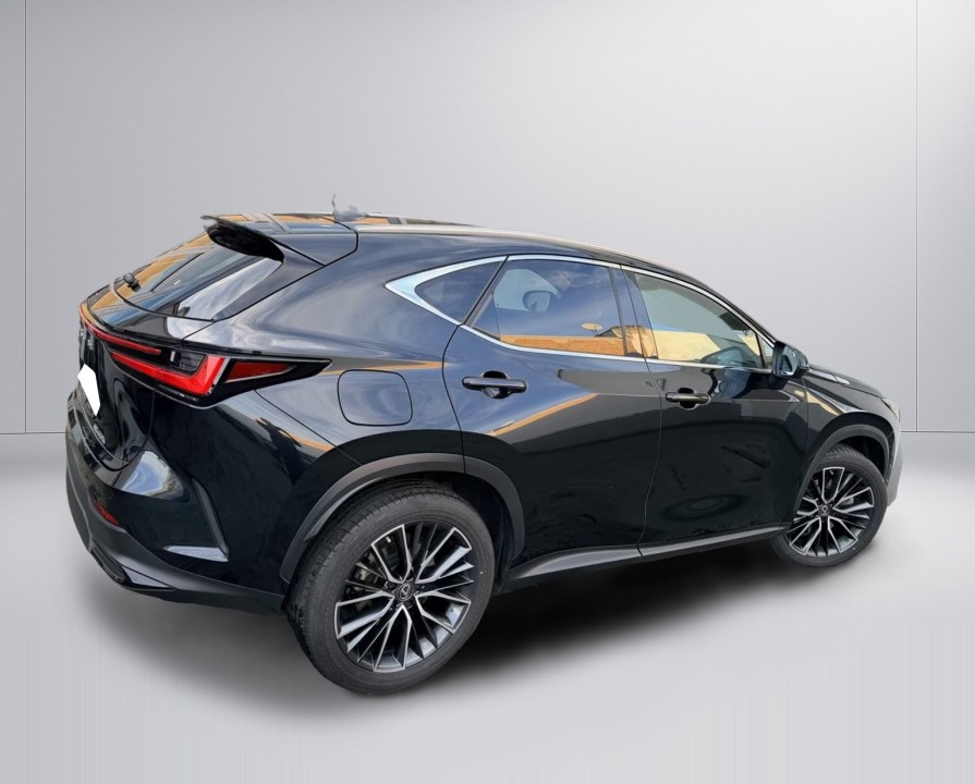 Lexus Seria NX 450h+ AWD (3)