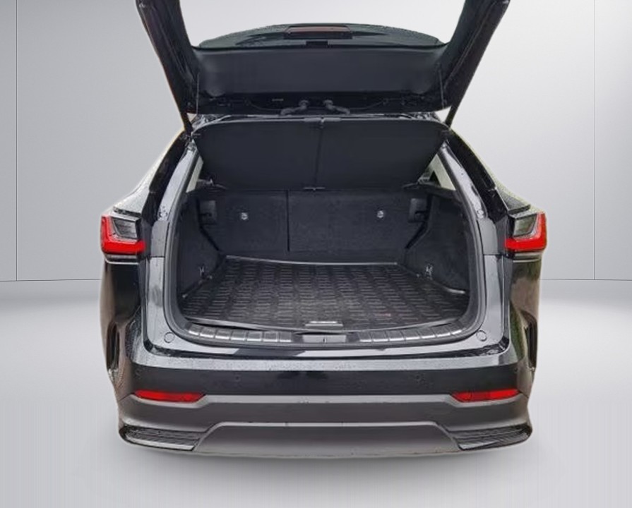 Lexus Seria NX 450h+ AWD Executive Line - foto 15