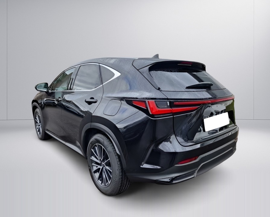 Lexus Seria NX 450h+ AWD Executive Line (5)