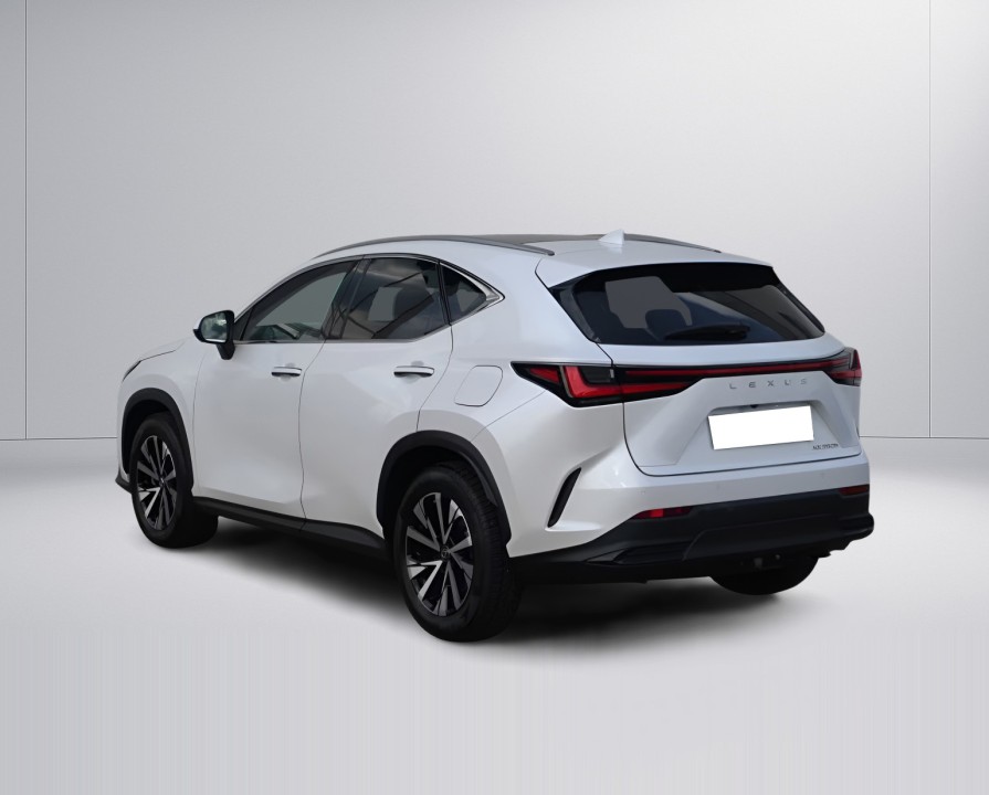 Lexus Seria NX 350h AWD Executive Line (5)