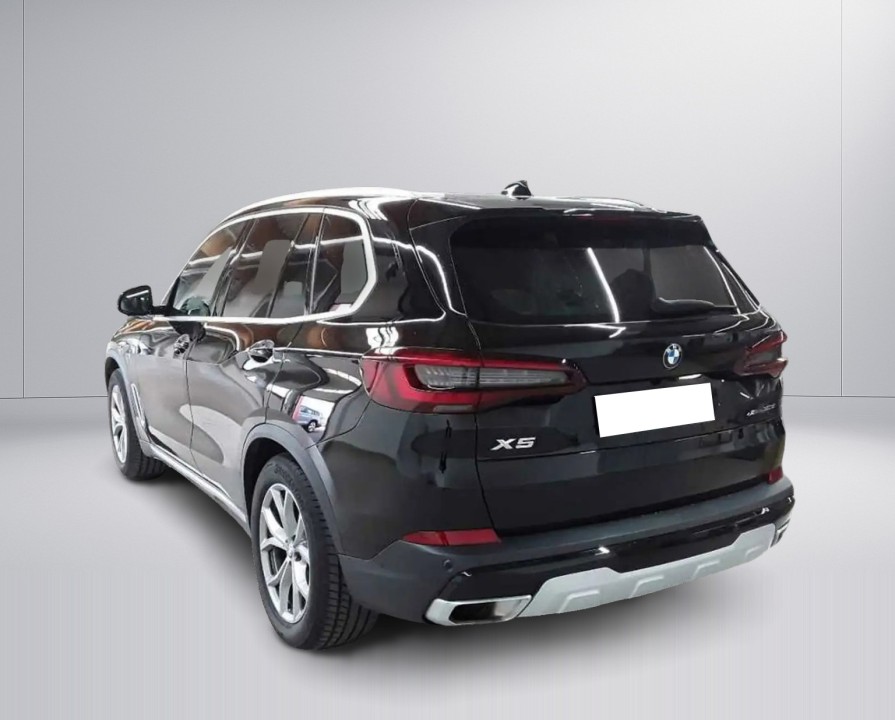 BMW X5 xDrive30d xLine (2)