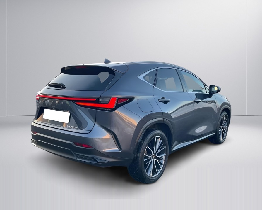 Lexus Seria NX 450h+ AWD (3)