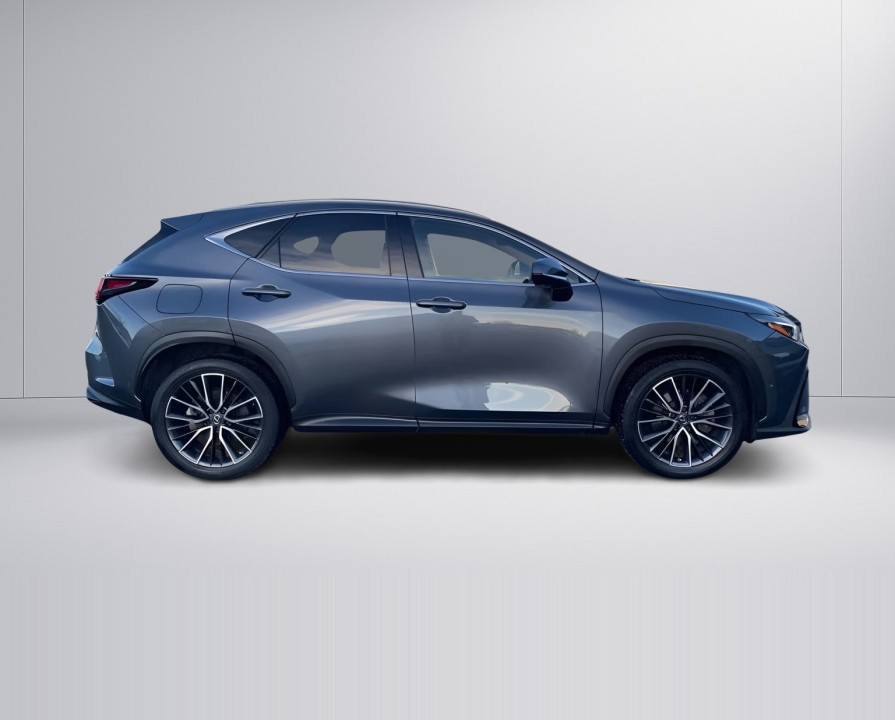 Lexus Seria NX 450h+ AWD (2)